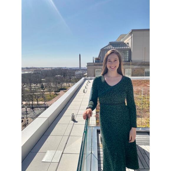 GREAT JONES Forest Green Leopard Jacquard Knit V-Neckline Hourglass Dress sz XS - Picture 14 of 15